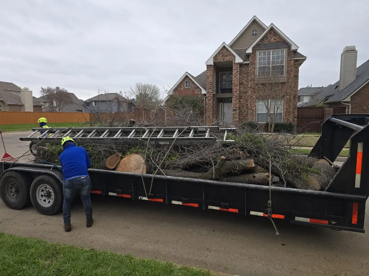 Expert Tree Fertilization with proper safety equipment in Fishkill